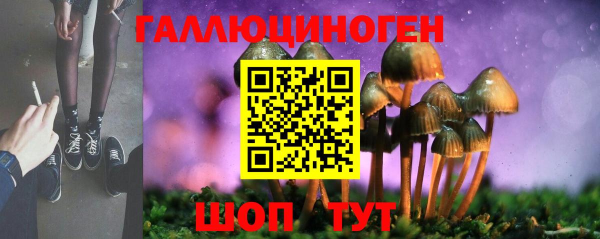 Галлюциногенные грибы прущие грибы  Вход с VPN  Пятигорск 
